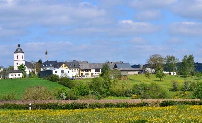 A picturesque landscape with green meadows and colorful flowers. In the background, a village and a church are visible.