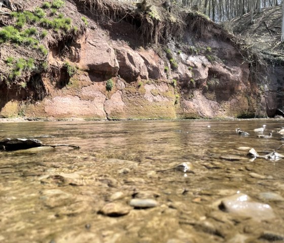 Roter Puhl Premiumwanderweg Schluchtenpfad, &copy; Naturpark S&uuml;deifel/Ansgar Dondelinger