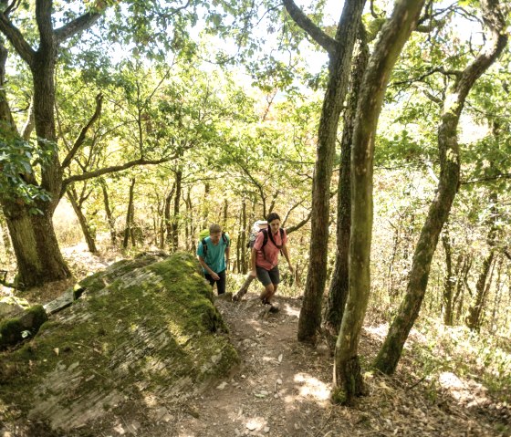 Zwei Wanderer auf einem schmalen, bewaldeten Pfad im Lätgesberg. Die Sonne scheint durch die Bäume und beleuchtet den moosbedeckten Boden., © Eifel Tourismus GmbH, D. Ketz