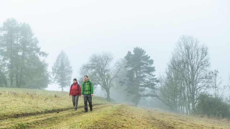 Zwei Personen wandern durch eine neblige Landschaft. Im Hintergrund erkennt man Bäume und ein ruhiges Feld.
