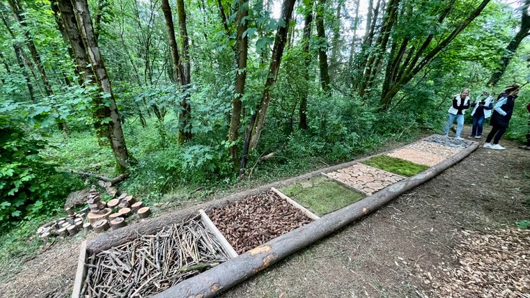 Barfußpfad im Schulwald Daleiden