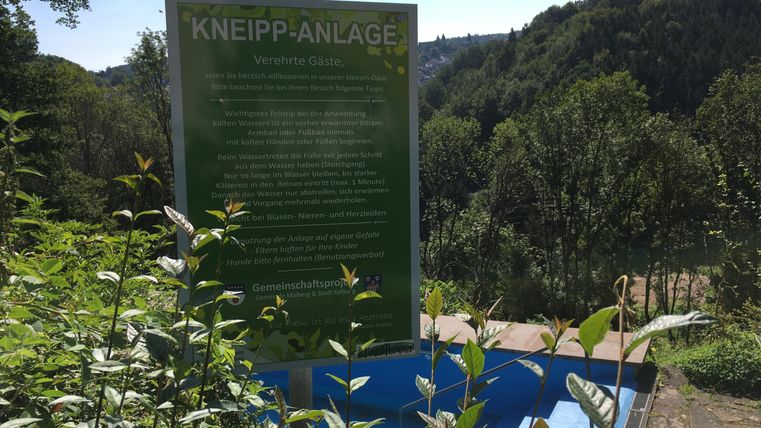 Eine Kneipp-Anlage in der Natur mit einem Informationsschild im Hintergrund. Umgeben von Bäumen und einem blauen Fußbecken.