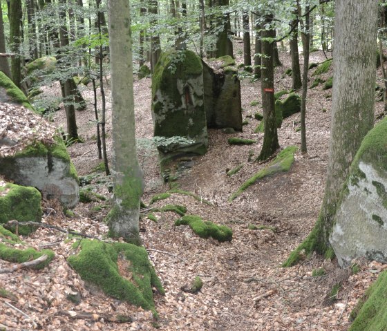 A forest with moss-covered rocks, trees and leaves on the ground. A narrow path leads through the rocks., © Lauschtour.de