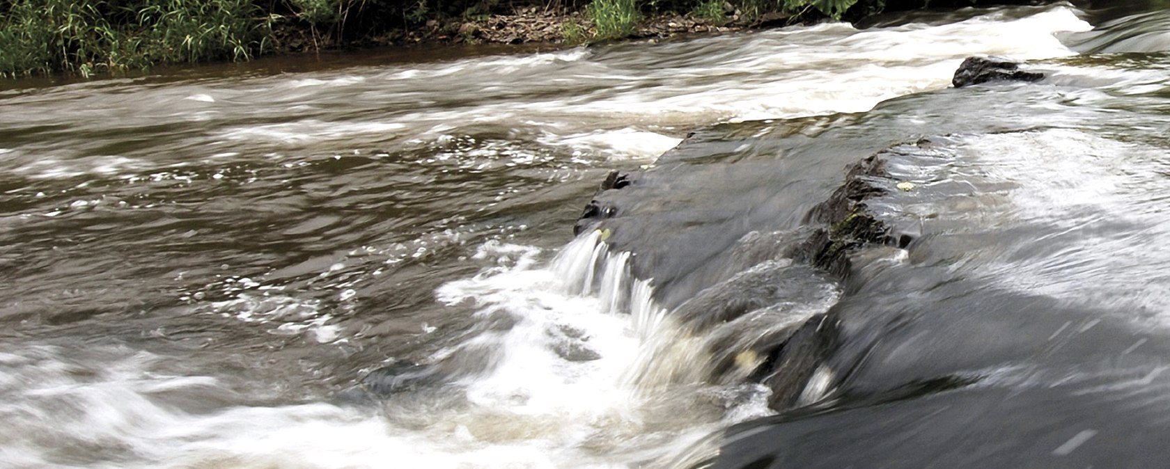 Ein Bach flie&szlig;t &uuml;ber Felsen, bildet kleine Wasserf&auml;lle. &Uuml;ppige gr&uuml;ne Vegetation s&auml;umt das Ufer. Naturbelassene, ruhige Landschaft., &copy; Naturpark S&uuml;deifel, R. Clement