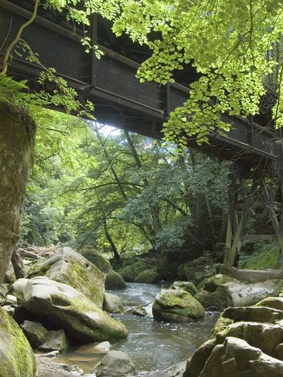 Un petit ruisseau coule sous un pont, entouré d'une verdure luxuriante et de grandes pierres. La scène dégage une atmosphère tranquille et naturelle.