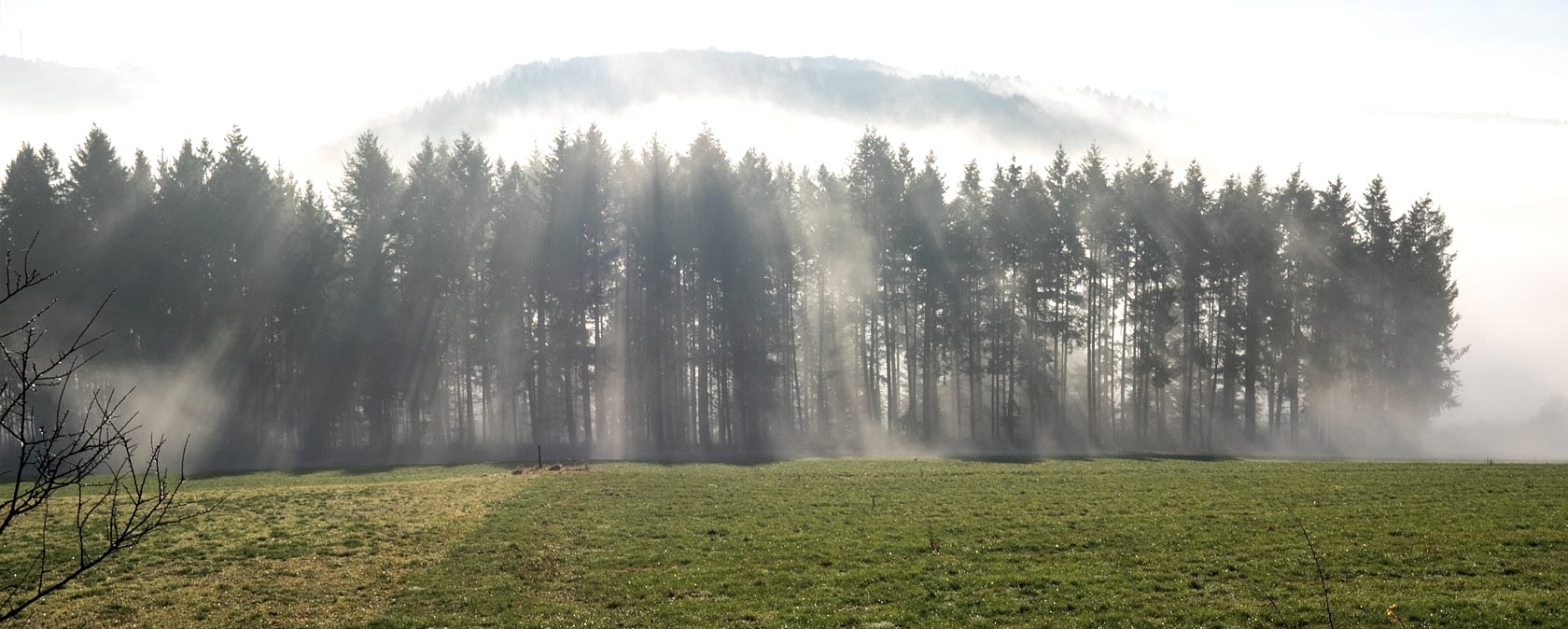 Morning fog near Reiff