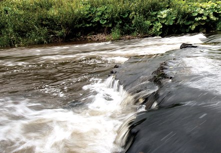 Ein kleiner Wasserfall in einem Fluss, umgeben von dichter Vegetation und B&auml;umen am Ufer., &copy; Naturpark S&uuml;deifel, R. Clement