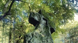 Fraubillenkreuz, © Felsenland Südeifel Tourismus GmbH / Anna Carina Krebs