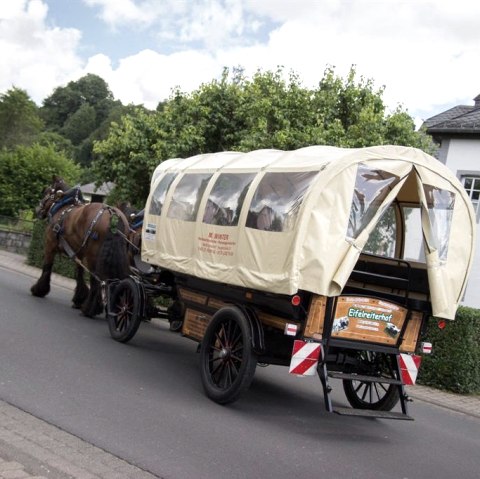 Planwagen, © Winter - Eifelreiterhof