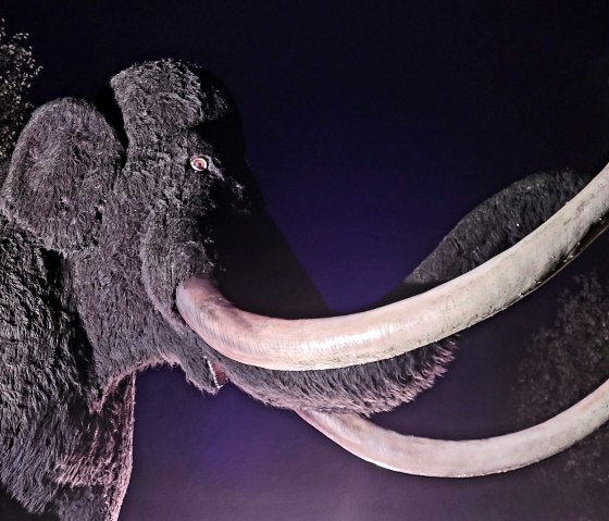 Eiszeit in Szene gesetzt: Mammut, © Dinosaurierpark Teufelsschlucht, Foto Elke Wagner