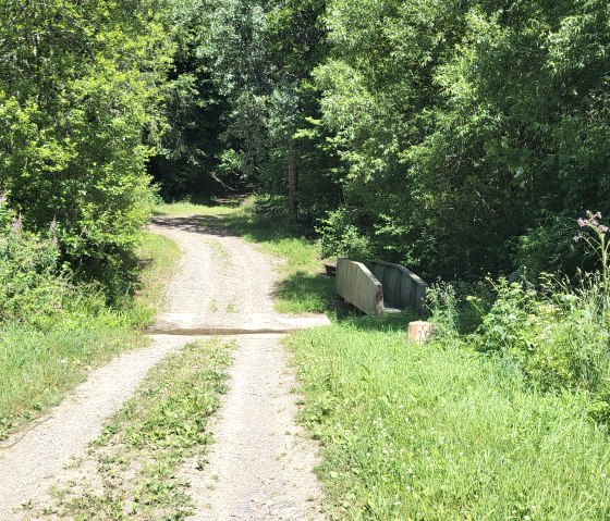Ein schmaler Waldweg führt durch dichtes Grün, gesäumt von Bäumen und Sträuchern. Rechts steht eine Holzbank., © Tourist-Information Islek
