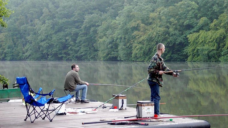 Deux hommes pêchent au bord d'une étendue d'eau calme. Entourés d'arbres verts, ils profitent de la nature.
