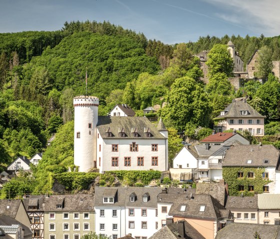 Burg Neuerburg thront über einer Stadt mit historischen Häusern, umgeben von üppigen grünen Wäldern unter blauem Himmel., © Eifel Tourismus GmbH, Dominik Ketz