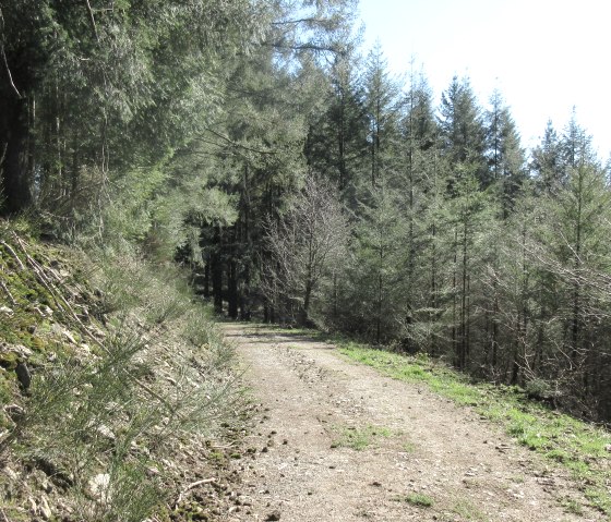 img_8832, &copy; Felsenland S&uuml;deifel Tourismus GmbH