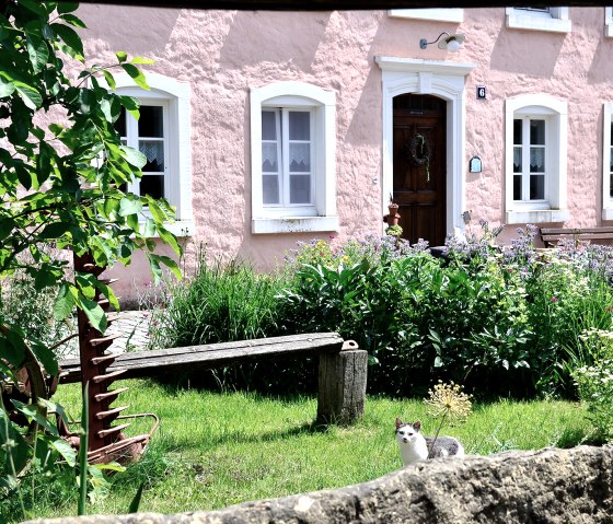 Ein rosa Bauernhaus mit weißen Fensterrahmen, umgeben von einem blühenden Garten. Eine Katze sitzt im Vordergrund auf dem Rasen., © TI Bitburger Land