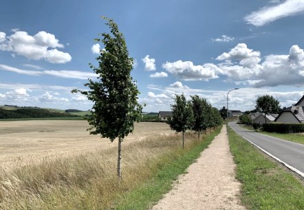 Komfort-Weg Ammeldingen, &copy; Naturpark S&uuml;deifel/Ansgar Dondelinger