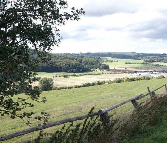 Grüne Felder und Hügel mit einem Baum im Vordergrund, Blick auf Mettendorf. Stromleitungen und ein Zaun sind sichtbar., © V. Teuschler