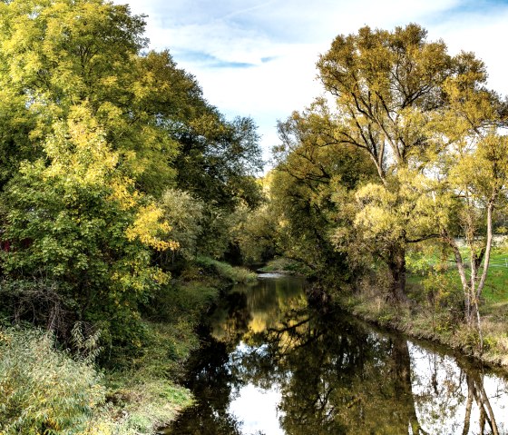 Die Pr&uuml;m flie&szlig;t durch eine herbstliche Landschaft in Oberweis, umgeben von B&auml;umen mit gr&uuml;nen und gelben Bl&auml;ttern. Der Himmel ist leicht bew&ouml;lkt., &copy; TI Bitburger Land