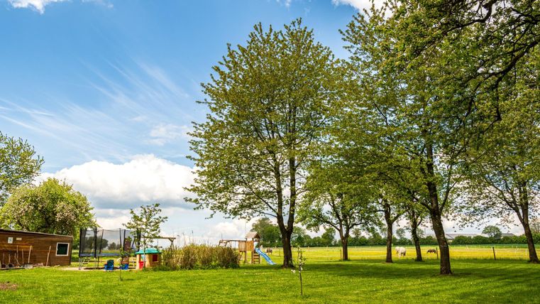 Ein grüner Rasen mit mehreren großen Bäumen und einem Spielplatz im Hintergrund. Der Himmel ist blau mit einigen Wolken.