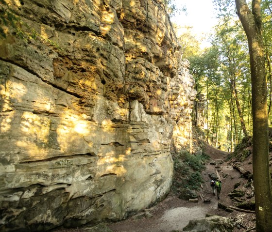 Steile Buntsandsteinfelsen in der Teufelsschlucht, Felsenweg 6, &copy; Eifel Tourismus GmbH, D. Ketz