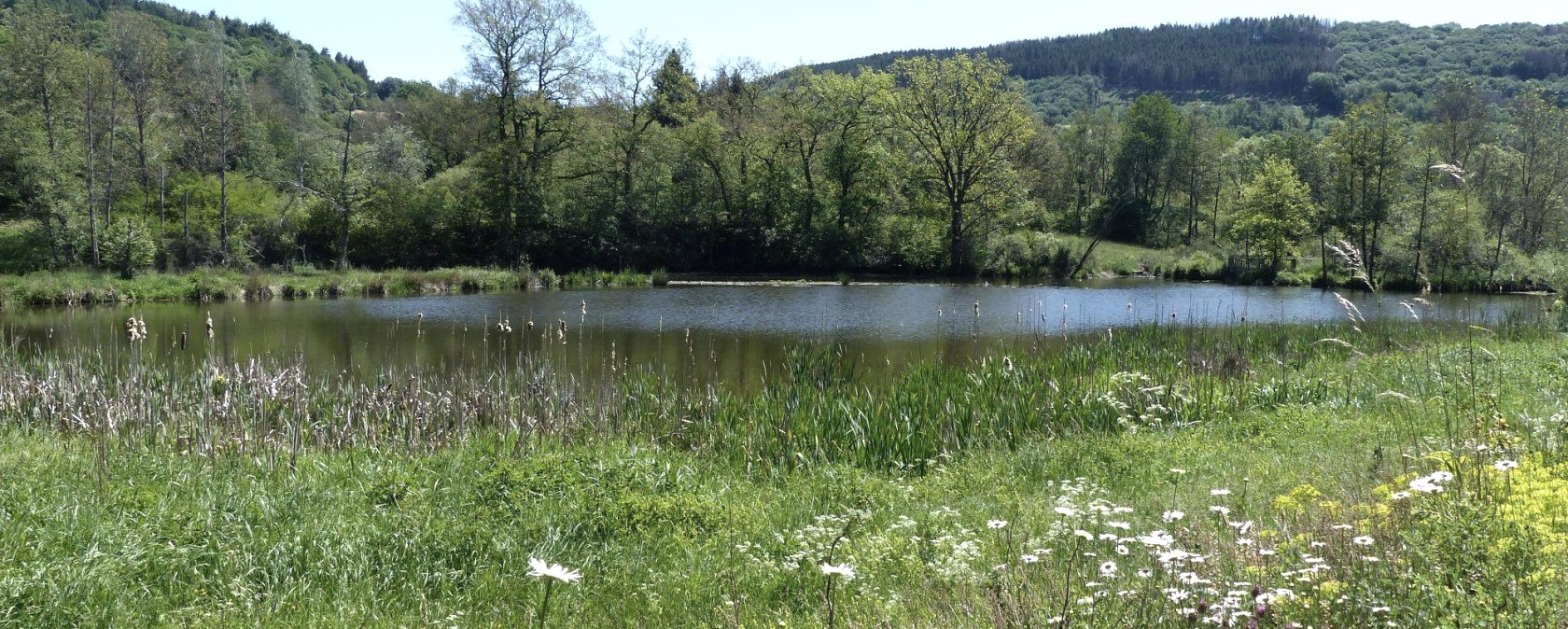 GPS-Tour, Stausee Irsental, &copy; Tourist-Information Islek, Ingrid Wirtzfeld