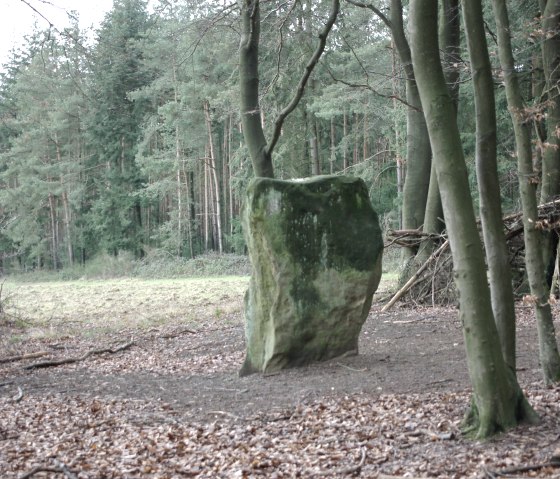 Druid stone, © Felsenland Südeifel Tourismus GmbH / Elke Wagner