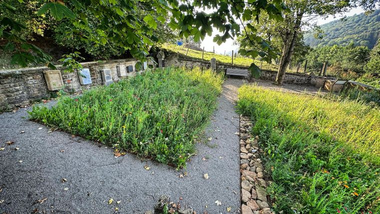Ein ruhiger Garten mit hohem Gras und schmalen Wegen. Umgeben von Bäumen und einer schönen Landschaft.