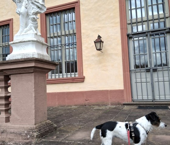 1062335a-dad8-4977-8b60-2d179df7be97