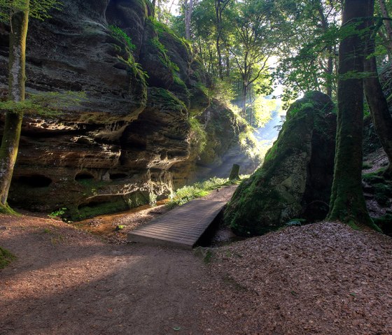 Leitfoto Naturwanderpark Delux, © Naturpark Südeifel/Charly Schleder