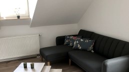 Wohnzimmer, Schlafsofa