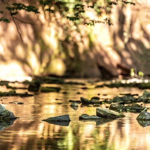 Am Roten Puhl, &copy; Eifel Tourismus GmbH
