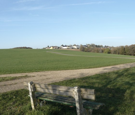 Gr&uuml;ne Wiese mit Bank und Weg, im Hintergrund ein Dorf unter blauem Himmel., &copy; Christian Calonec-Rauchfuss, Felsenland S&uuml;deifel Tourismus GmbH