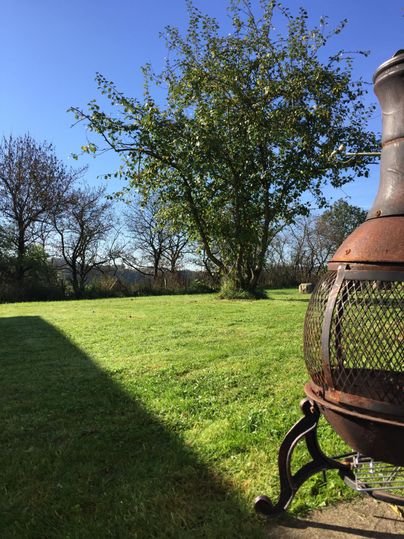 A well-maintained garden with green grass and a large tree. In the foreground, there is a rustic fireplace.