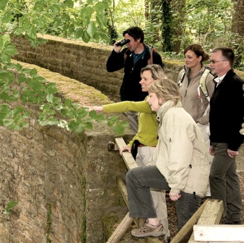 Naturparkarbeit, &copy; NP S&uuml;deifel ZV