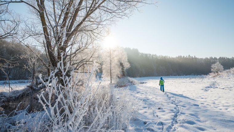 Eine verschneite Landschaft mit gefrosteten Bäumen und einem klaren Himmel. Im Vordergrund geht eine Person in warmer Kleidung einen Weg entlang.