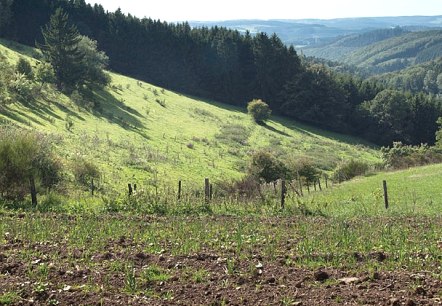 Blick ins M&uuml;hlbach-Tal, &copy; Volker Teuschler