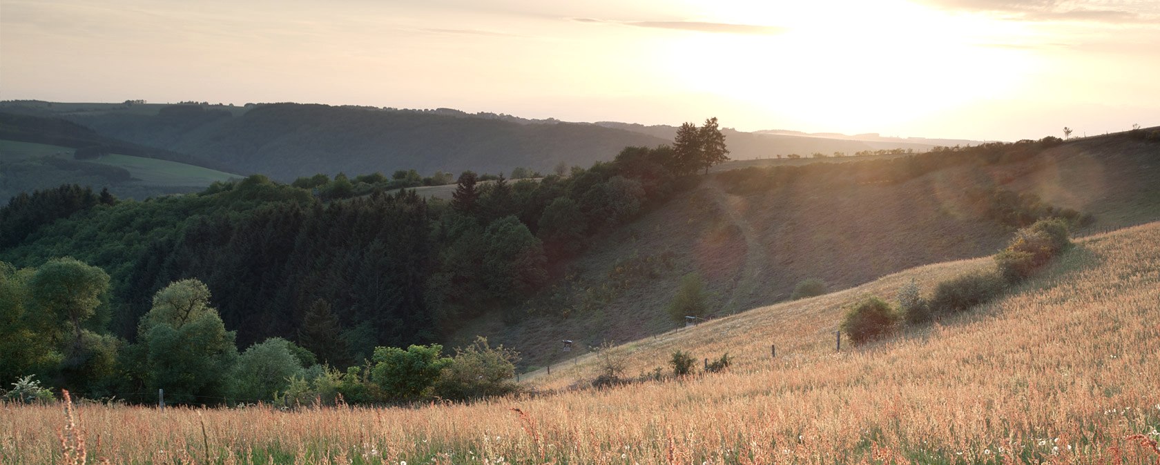Morning sun over the Our valley, © V. Teuschler