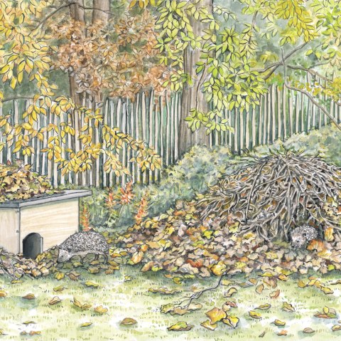 Unterschlupf f&uuml;r Igel, &copy; Naturpark S&uuml;deifel/Sabine Dubb