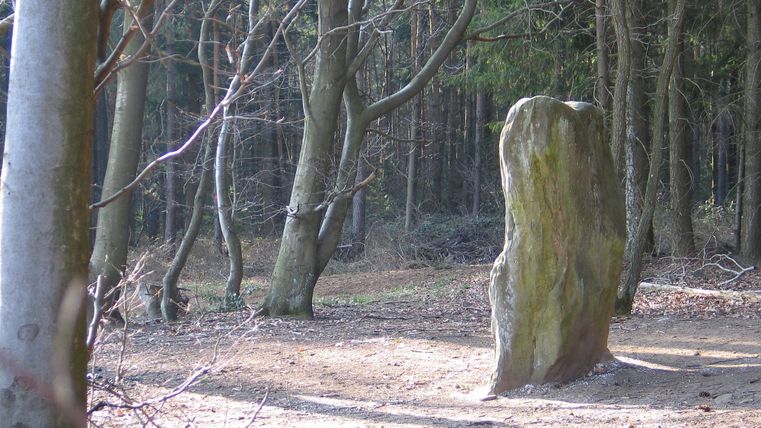 Ein großer Stein steht in einem ruhigen Waldgebiet. Um ihn herum sind kahle Bäume und der Boden ist mit Laub bedeckt.