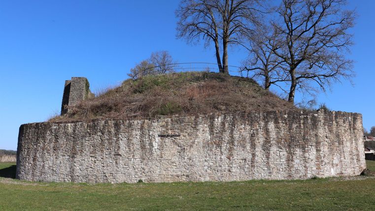 Eine alte Burgruine mit einer runden Steinmauer und einigen Bäumen auf der Spitze. Der Himmel ist klar und blau.