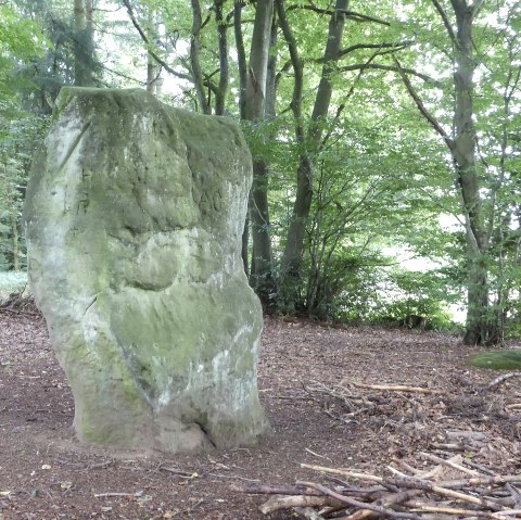 Der Druidenstein bei Bollendorf, &copy; Elke Wagner