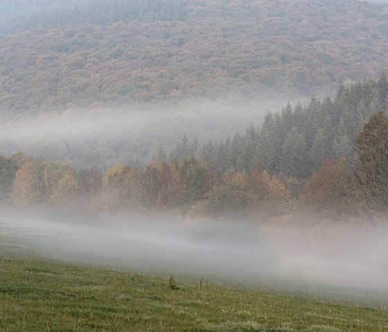 Herbstliche Landschaft mit nebelverhangenen W&auml;ldern und Wiesen. Die B&auml;ume zeigen bunte Herbstfarben, w&auml;hrend Nebel &uuml;ber die Szenerie zieht., &copy; Naturpark S&uuml;deifel, P. Haas