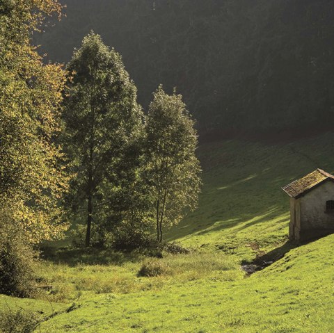 Kleine Hütte auf grüner Wiese im Kammerwald, umgeben von Bäumen im Sonnenlicht. Malerische Landschaft., © Naturpark Südeifel, P. Haas