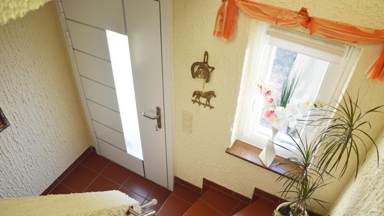 A bright entrance area with a modern door and a window. Fresh plants and decorative elements create an inviting atmosphere.