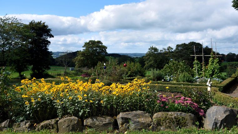 Ein schöner Garten mit bunten Sonnenblumen und anderen Pflanzen. Im Hintergrund sind Bäume und ein blauer Himmel mit Wolken zu sehen.