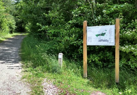 Ein schattiger Waldweg führt durch üppiges Grün. Rechts steht ein großes Informationsschild mit einer Karte. Der Weg ist von Bäumen gesäumt., © Tourist-Information Bitburger Land