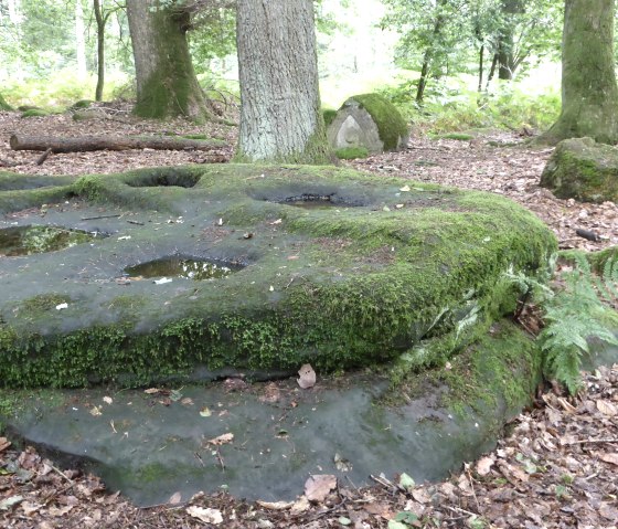 Gallo-Roman gravel tombs near Bollendorf: depressions in the rock to accommodate urns, © Elke Wagner, Felsenland Südeifel Tourismus GmbH