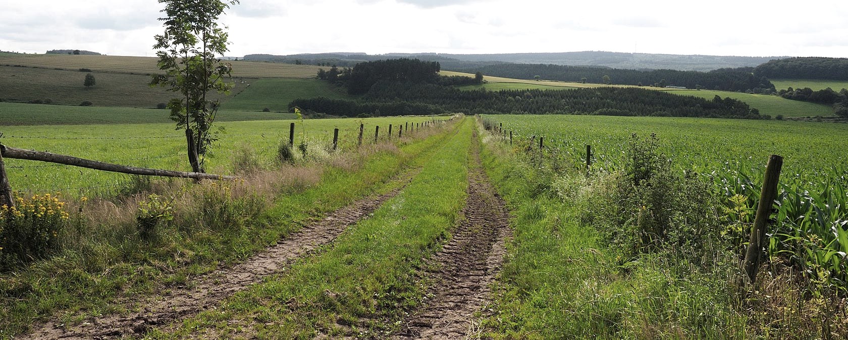Eifel heights, © Volker Teuschler