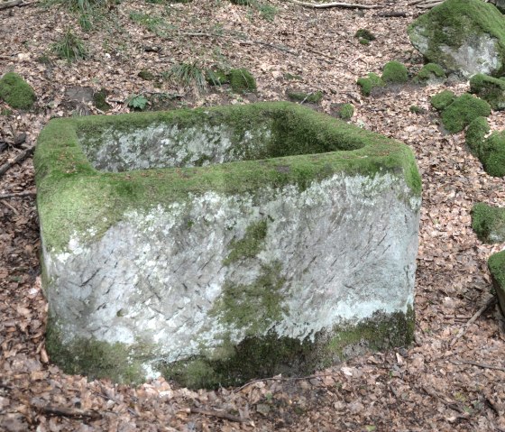 Ein moosbedeckter, rechteckiger Steinblock liegt auf einem Waldboden voller Laub., &copy; Lauschtour.de