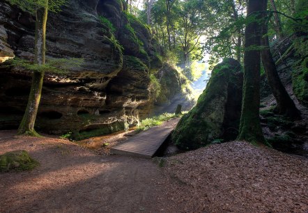 Leitfoto Naturwanderpark Delux, &copy; Naturpark S&uuml;deifel/Charly Schleder